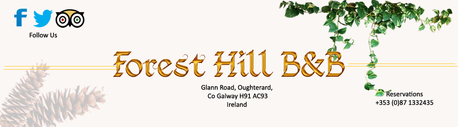 Forest HIll B&B About Us